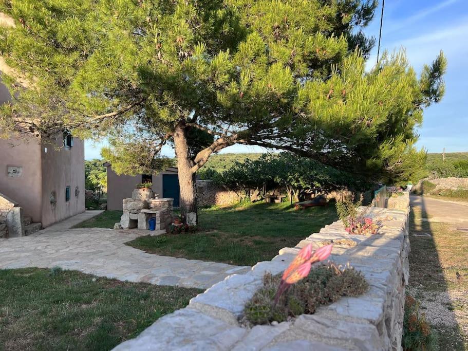 Holiday Apartment Nerezine Dış mekan fotoğraf