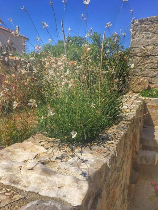 Holiday Apartment Nerezine Dış mekan fotoğraf